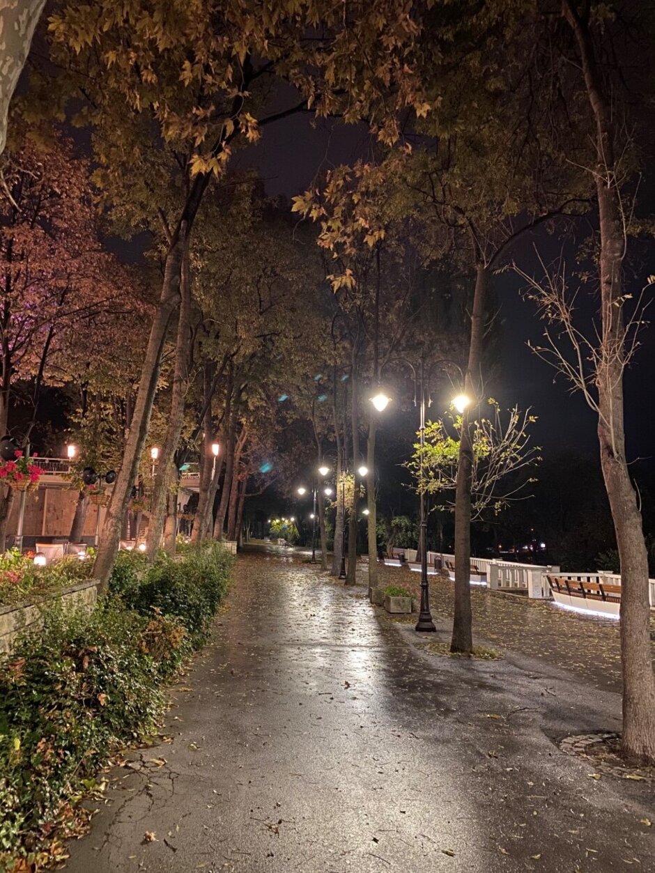 iPhone 11 Pro Max - Night Mode Camera Comparison